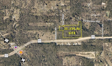 31.334-Ac Aerial Plat of Site