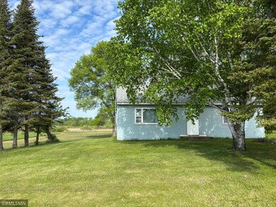 290 Nelson Ave W, Tamarack, MN 55787 - photo 2