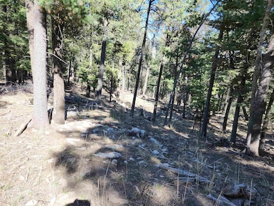 180 Big Dipper Rd unit 19, Cloudcroft, NM 88317 - photo 4