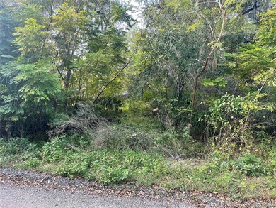 131 Lake Mamie Rd, Deland, FL 32724 - photo 4