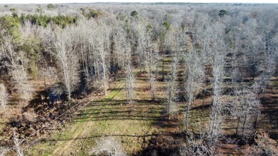 dji_fly_20240213_084424_202_170783550192