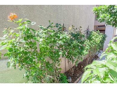 Property Photo. Walkway Landscaping