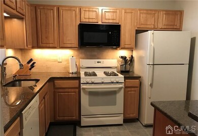 222 Vasser Dr, Piscataway, NJ 08854 - photo 5