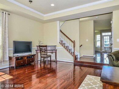 42301 Demarco Terrace, Chantilly, VA 20152 - photo 7
