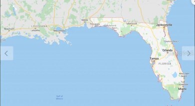 0 Dill Rd unit MFRO6234212, Orlando, FL 32820 - photo 4