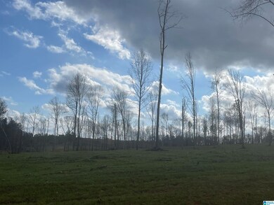 0004 Truman Aldrich Pkwy, West Blocton, AL 35184 - photo 5