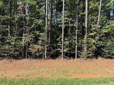 35 Gordon Ln, Macon, NC 27551 - photo 3