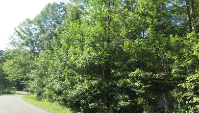 0 Hurricane Loop, Tennessee Ridge, TN 37178 - photo 2