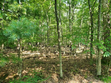 Lot 799 Tink Wig Dr, Lackawaxen Township, PA 18428 - photo 6