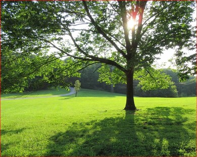 Lovely paved drive from the road to the house!