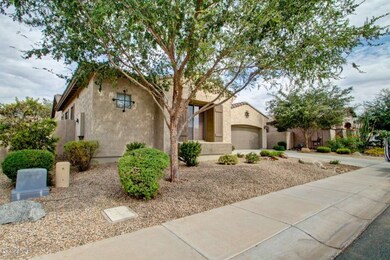 Mesquite Grove (3)