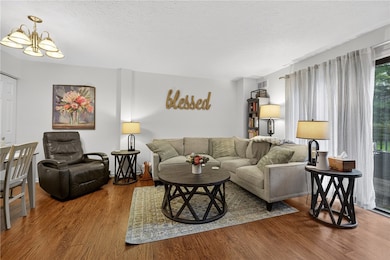 Cozy living room