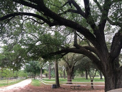 26411.1/2 Dobbin Hufsmith Rd, Magnolia, TX 77354 - photo 4