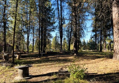 1909 Gold Dust Rd unit 60, Cascade, ID 83611 - photo 3