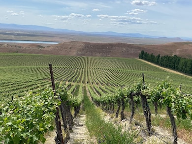 Ash Rd, Mesa, WA 99343 - photo 3