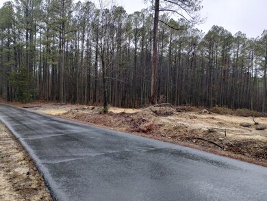 000 Walt Maddron Rd, Cohutta, GA 30710 - photo 2