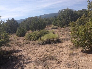 12 Camino Don Juan, Placitas, NM 87043 - photo 5