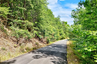 2743 Overholt Trail, Sevierville, TN 37862 - photo 2