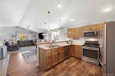 2457 Shooting Star Way, Evans, CO 80620 - photo 7