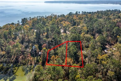 0 N Lakeview Dr unit 67956245, Point Blank, TX 77364 - photo 5