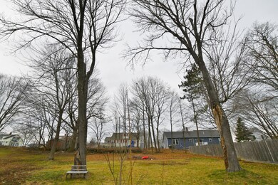 DSC_0235