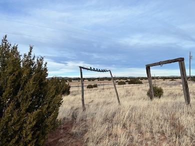 12 Metzger Dr, San Jose, NM 87565 - photo 7