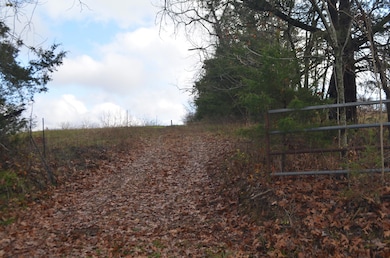 000 Logan Ridge Rd, Ozark, MO 65721 - photo 2