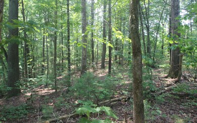 Additional View