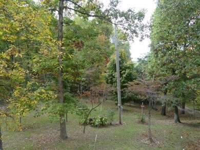 front yard