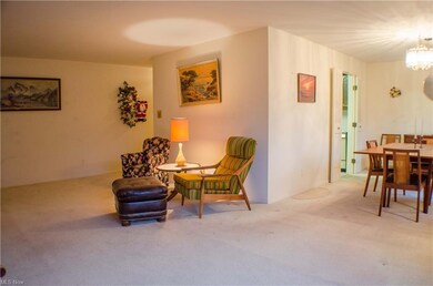 L shape living room and dining room