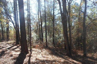 122 S Robbie Dr unit 48, Macon, GA 31217 - photo 6