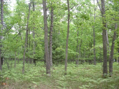 DSCF0094