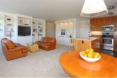 Hammond Park Condominiums unit 607, Chestnut Hill, MA 02467 - photo 4