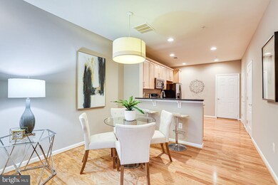 22716 Verde Gate Terrace, Ashburn, VA 20148 - photo 6