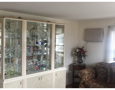 49 Collins St, Worcester, MA 01606 - photo 5