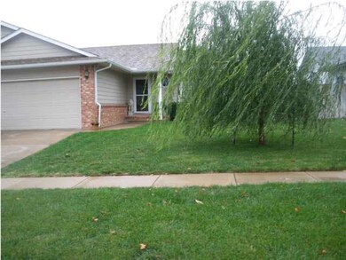 Beautiful willow tree in front yard.