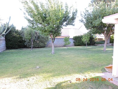 NW BACKYARD