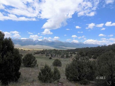 View from the Trees