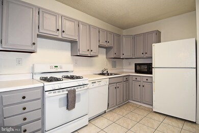 Skyline Plaza unit 207N, Baileys Crossroads, VA 22041 - photo 5