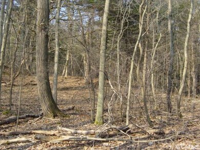 0 Schoharie Turnpike unit 90350, Athens, NY 12015 - photo 3