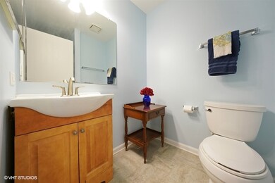 248 Westbrook Cir, Naperville, IL 60565 - photo 5