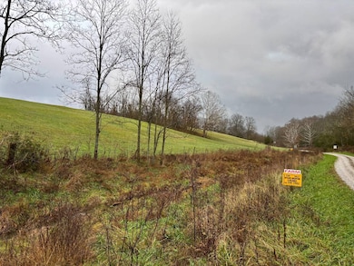 Tract # 6 Long Lick Ln unit 6, MacKville, KY 40040 - photo 3