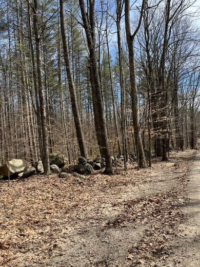 0 Gerrish Rd unit 43-4-3 4917218, Webster, NH 03303 - photo 4
