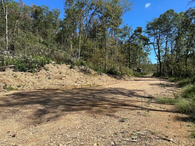 0 Tbd Only Rd, Only, TN 37140 - photo 4