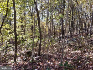 0 Roberts Ln unit 1004071929, Great Cacapon, WV 25422 - photo 4