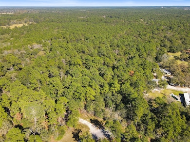 TBD Chandler Ln, Huntsville, TX 77320 - photo 2