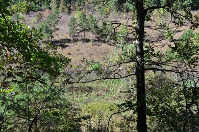 70 Maulden Branch Rd, Elias, KY 40486 - photo 5