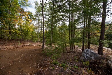 12-12-10-4 Jacob Hall Farm Rd, Rumney, NH 03266 - photo 7