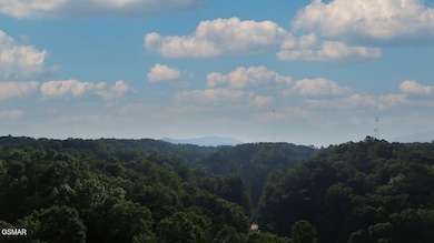 2359 Grassy Branch Rd, Sevierville, TN 37876 - photo 5