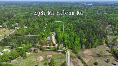 3-web-or-mls-4981 Mt Hebron Rd with line